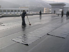 番禺防水补漏与管道疏通 选择专业防水公司的重要性