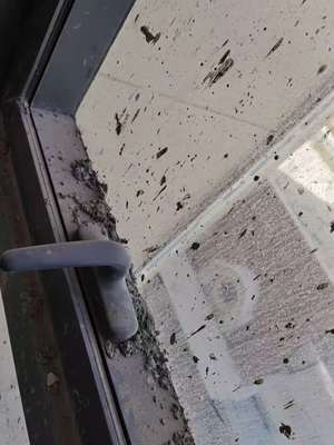 西宁专业保洁与维修服务指南 开荒、精保洁、清洗及防水补漏