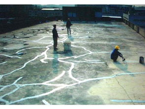 珠海外墙清洗、屋面整体防水补漏及管道疏通综合服务解析